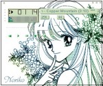 noriko-skin-tas